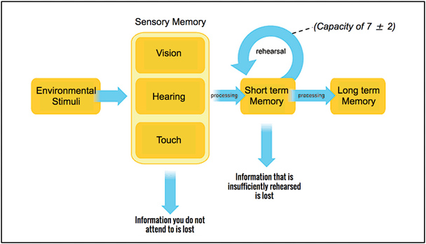 diagram from Kohn, A., 2015. Brain Science: Testing, Testing... The Whys and Whens of Assessment. [online] Learning Solutions Magazine. Available at: <https://learningsolutionsmag.com/articles/1684/brain-science-testing-testing-the-whys-and-whens-of-assessment> [Accessed 4 Feb. 2021].