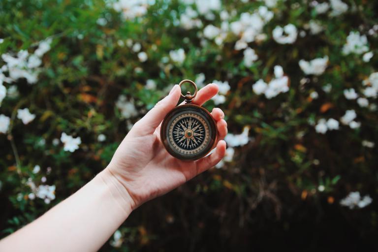 Picture of a hand holding an antique compass above a flowered meadow.